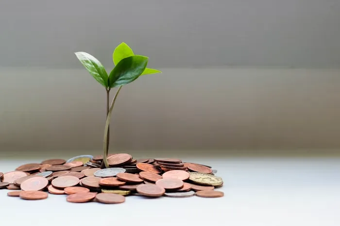 Moedas empilhadas junto a uma planta a nascer